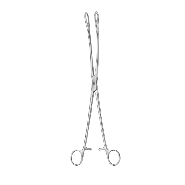 buy online 	Forceps Sponge Holding Curved - Era 25 Cm  Qatar Doha