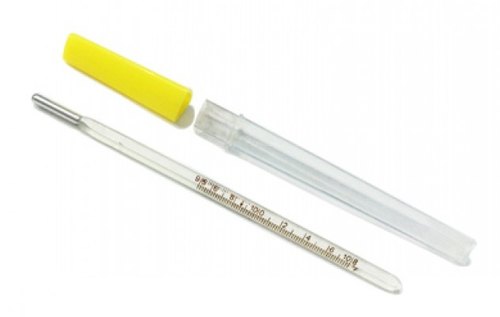 buy online 	Thermometer Clinical - Prime Rectal  Qatar Doha
