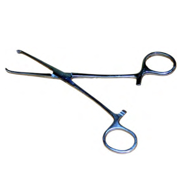 buy online 	Forceps Dressing Era - Era 14Cms [11800]  Qatar Doha