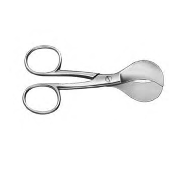 Umbilical Cord 10.5 Cm - I.S Intl product available at family pharmacy online buy now at qatar doha