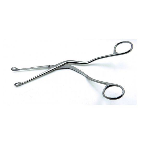 buy online 	Forceps Magil - Is Intl 20 Cm  Qatar Doha