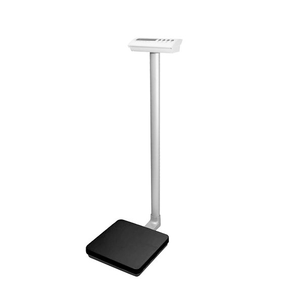 buy online 	Scale Height & Weight - Charder Ms3400  Qatar Doha