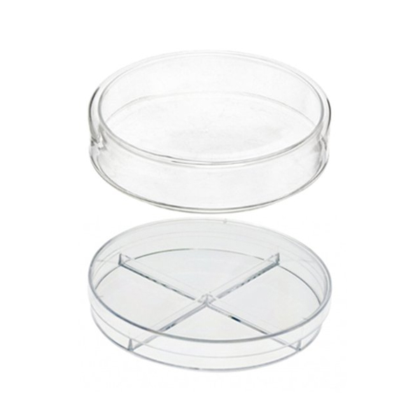 Petridish 80 Mm Ps Sterile Without Triple Vents -81-Nuova product available at family pharmacy online buy now at qatar doha