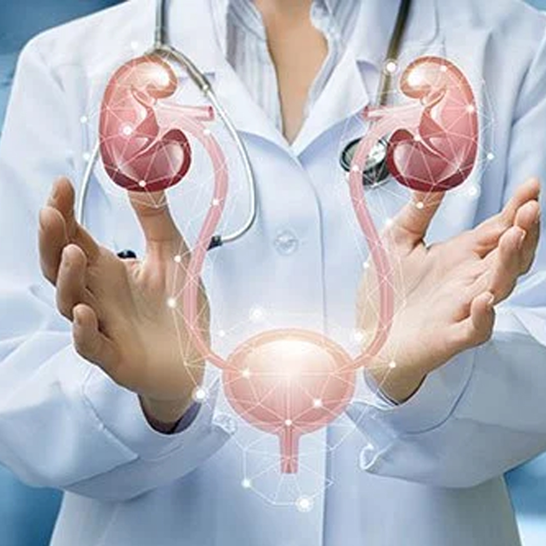 Urology available in online  pharmacy qatar, doha 