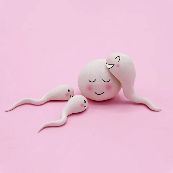 Hormones & Cntraceptives, Fertility Management available in online  pharmacy qatar, doha 