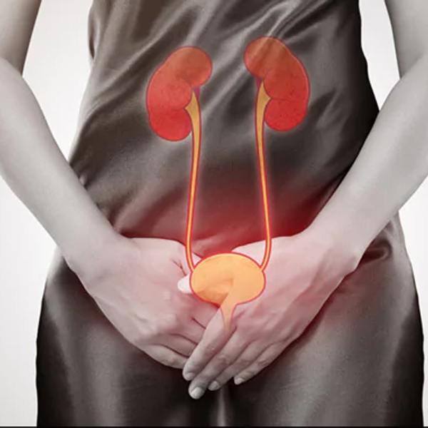 Urinary Infection, available in online  pharmacy qatar, doha 